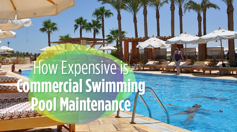 commercial swimming pool maintenance